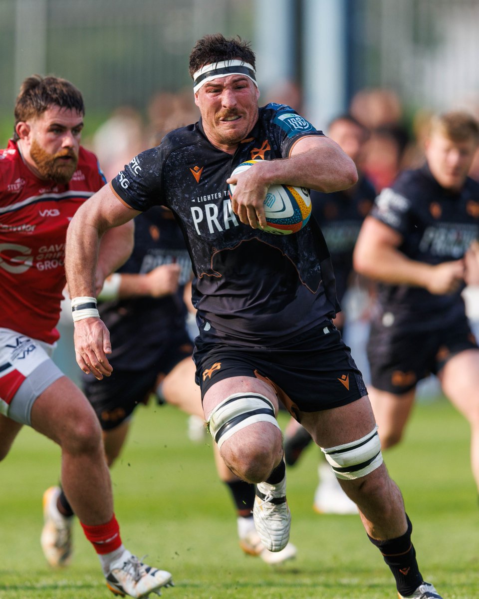 Ospreys tweet media