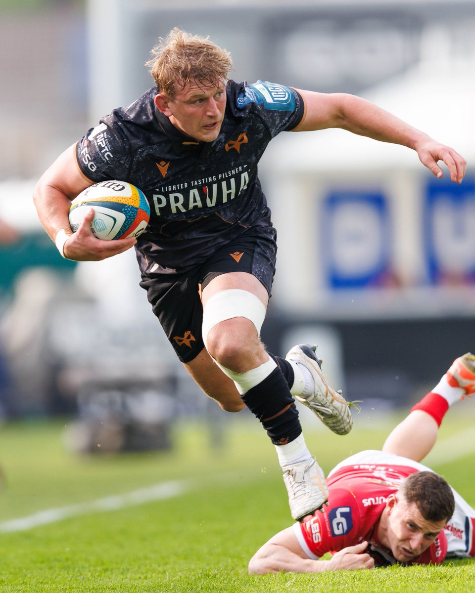 Ospreys tweet media