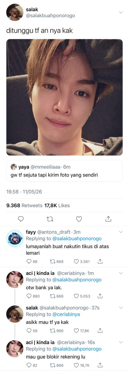 🦉🍯 tweet media
