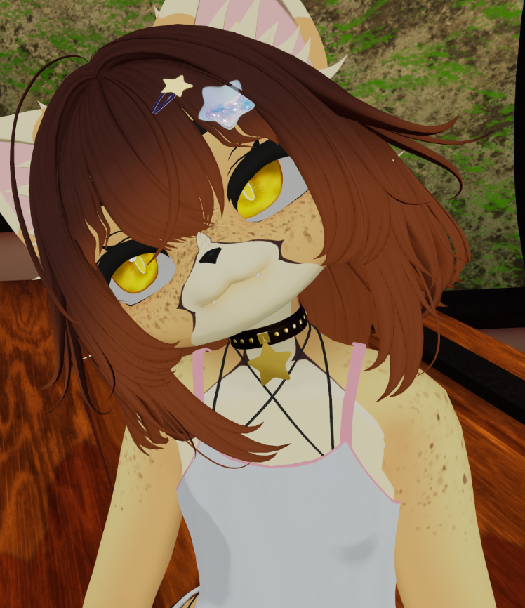 SevenityStar's tweet photo. Decidí hacer unos cambios en el perfil, estrellitas 👀✨

Ahora sí parece administrado por un gato con sueño y bastante decisiones... dudosas? https://t.co/dFtMjoiWEW