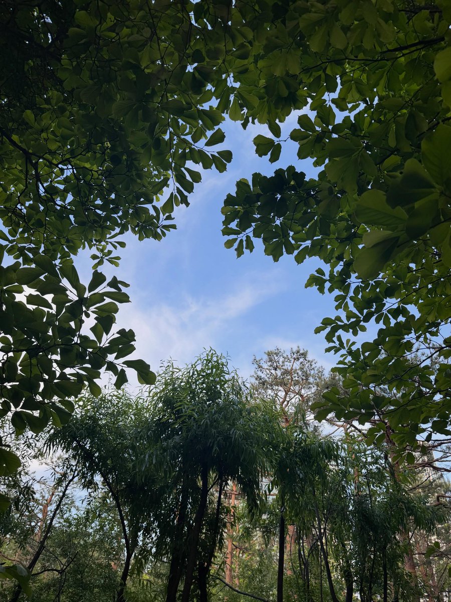 bbyoa25's tweet photo. 260511 #햄스타그램 #지성 인스타그램 게시물

힐링 https://t.co/AeJOfdDLk3