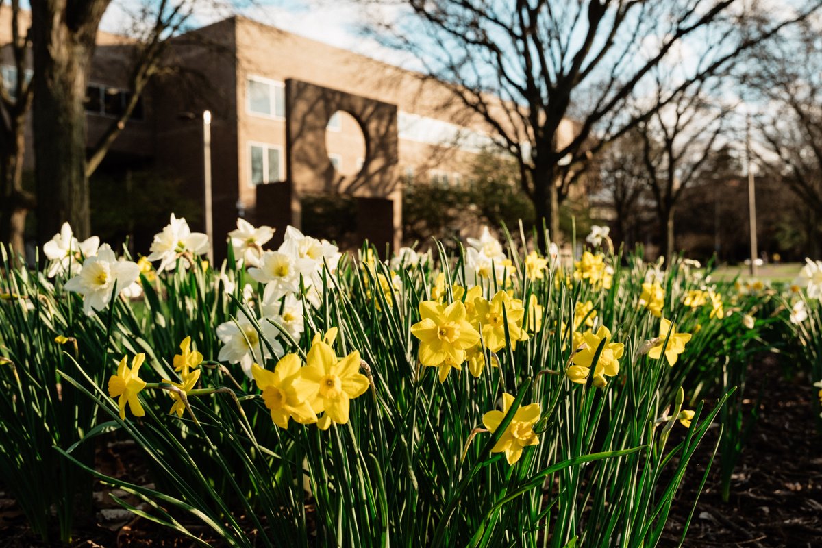 UMFlint's tweet photo. Commencement is over, summer semester has officially started and we caught this view on the way to greatness. 💛💙😎

#UMFlint #WhereSuccessLeads https://t.co/N0laMdrMci