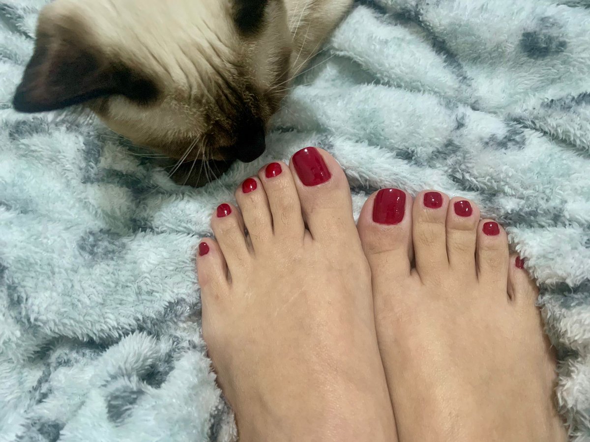 felyfer1025's tweet photo. @FeetFinder https://t.co/cVb4lU1Bqz