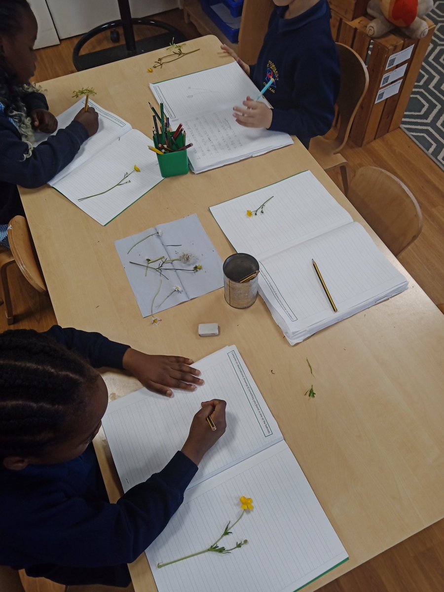 MissDSGC's tweet photo. The children made observational drawings today, as part of their work about microhabitats! @MrGSGC https://t.co/OuT98oKY0I