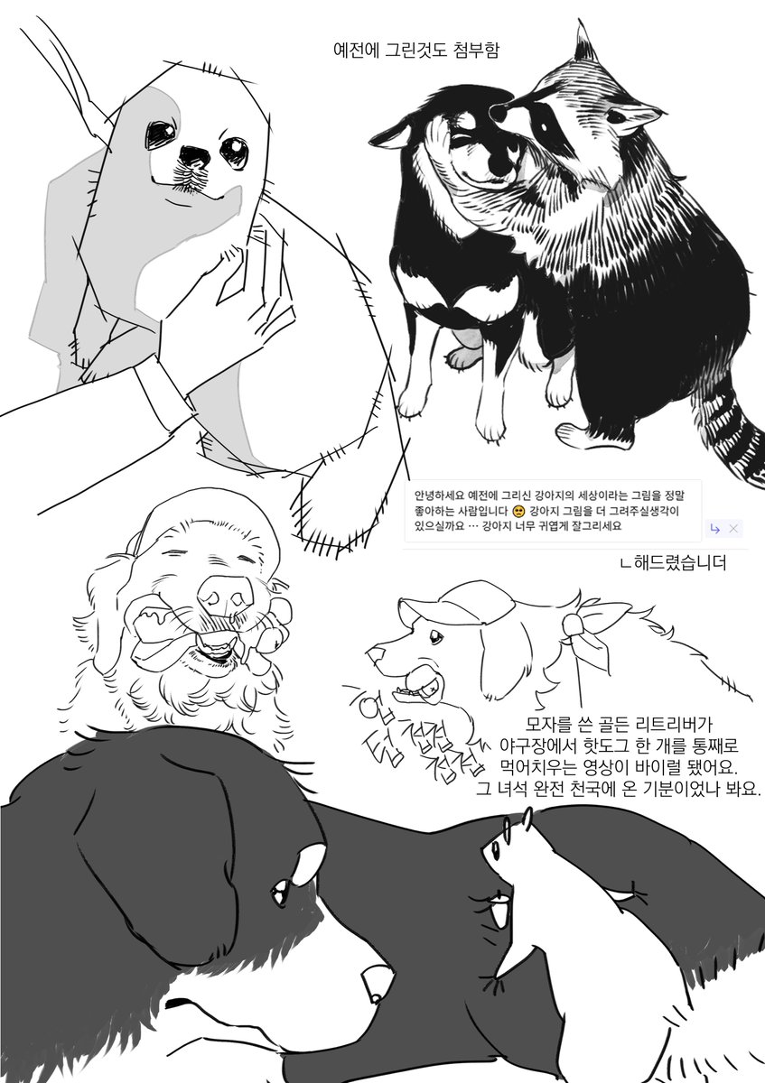 강아지의세상....2 