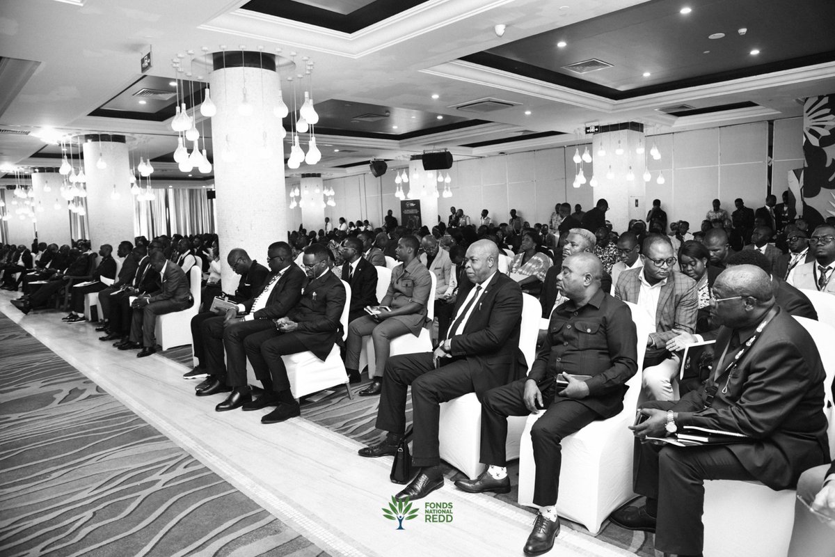 Fonaredd_RDC tweet media