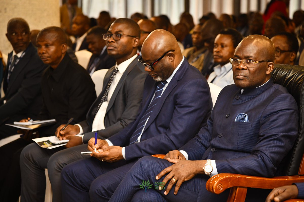 Fonaredd_RDC tweet media