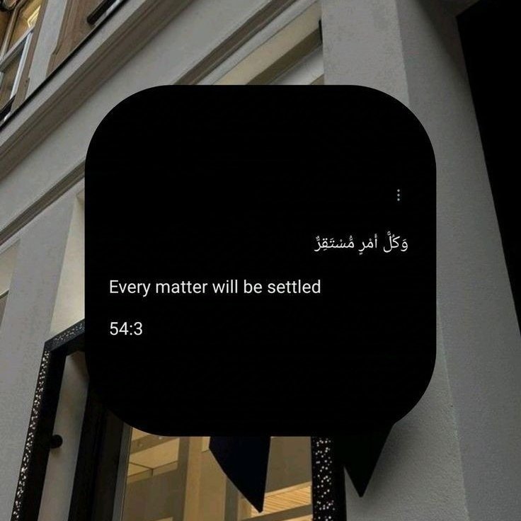 • tweet media