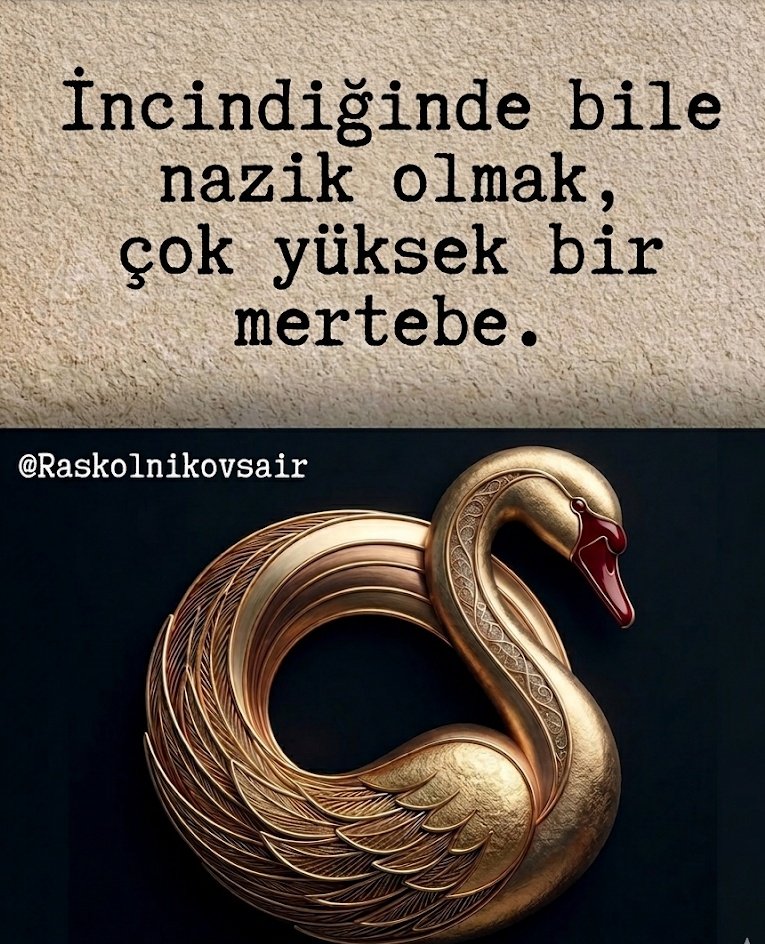 77Sayfa's tweet photo. çok yüksek bir mertebe.. https://t.co/jKDg8WIzj9