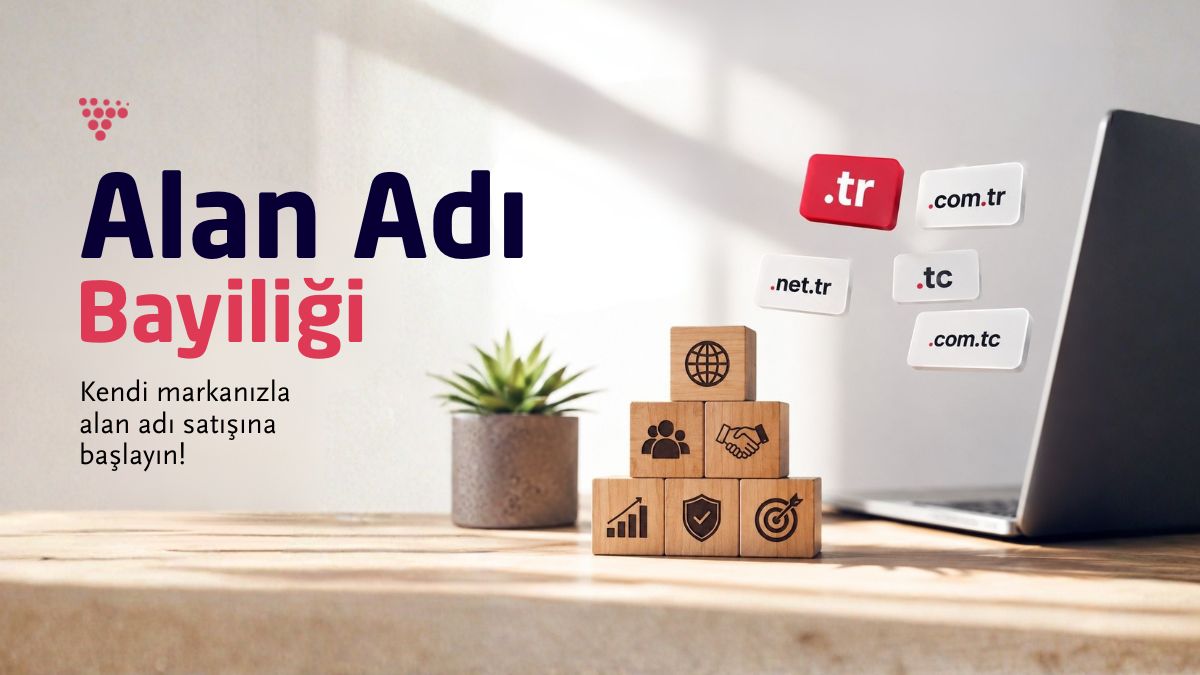Güzel Hosting tweet media