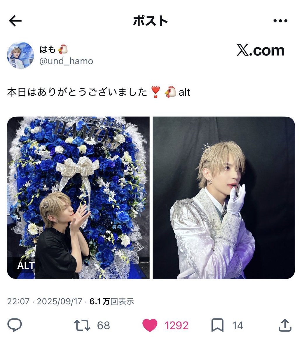 日本一のりおにゃん🐈 tweet media