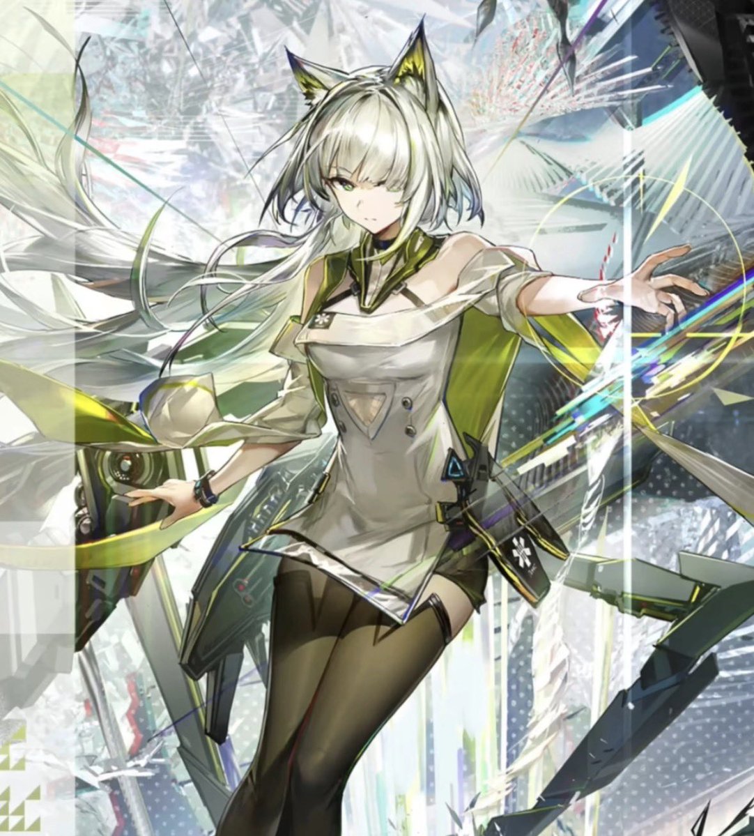 猫泽 tweet media