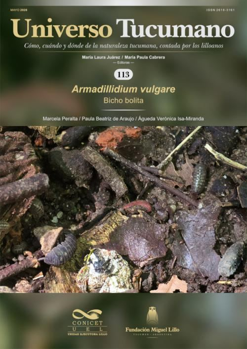 FundLillo's tweet photo. Número 113 de Universo Tucumano, la serie sobre la naturaleza tucumana hecha por lilloanos.

📷Armadillidium vulgare, bicho bolita.

📷Autores: Marcela Peralta, Paula Beatriz de Araujo, Águeda Verónica Isa-Miranda.

📷LINK: https://t.co/7ixdYrHiTq https://t.co/nVwitGVUKE