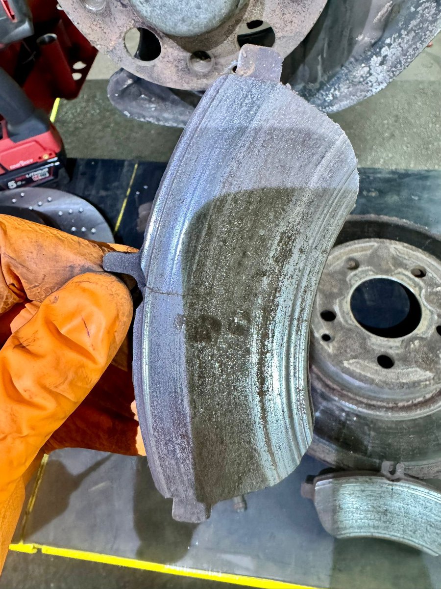 Jody tweet media