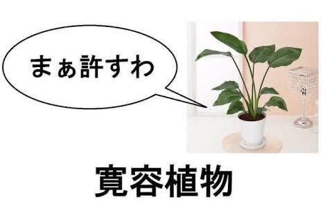 そうかい tweet media