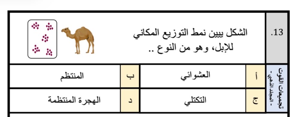 نَجمة tweet media