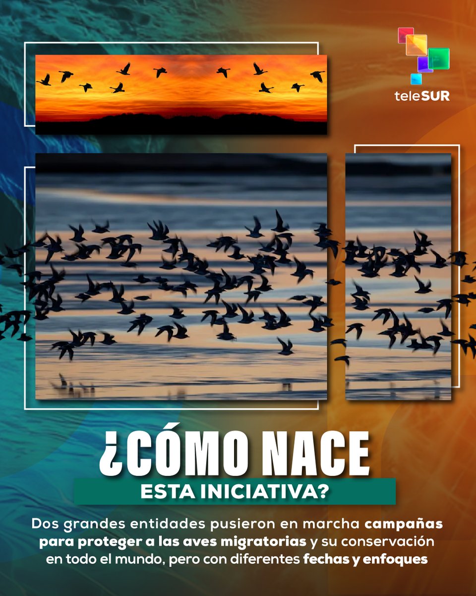 Destino Verde tweet media