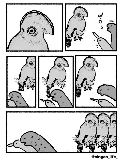 ningen_life tweet media