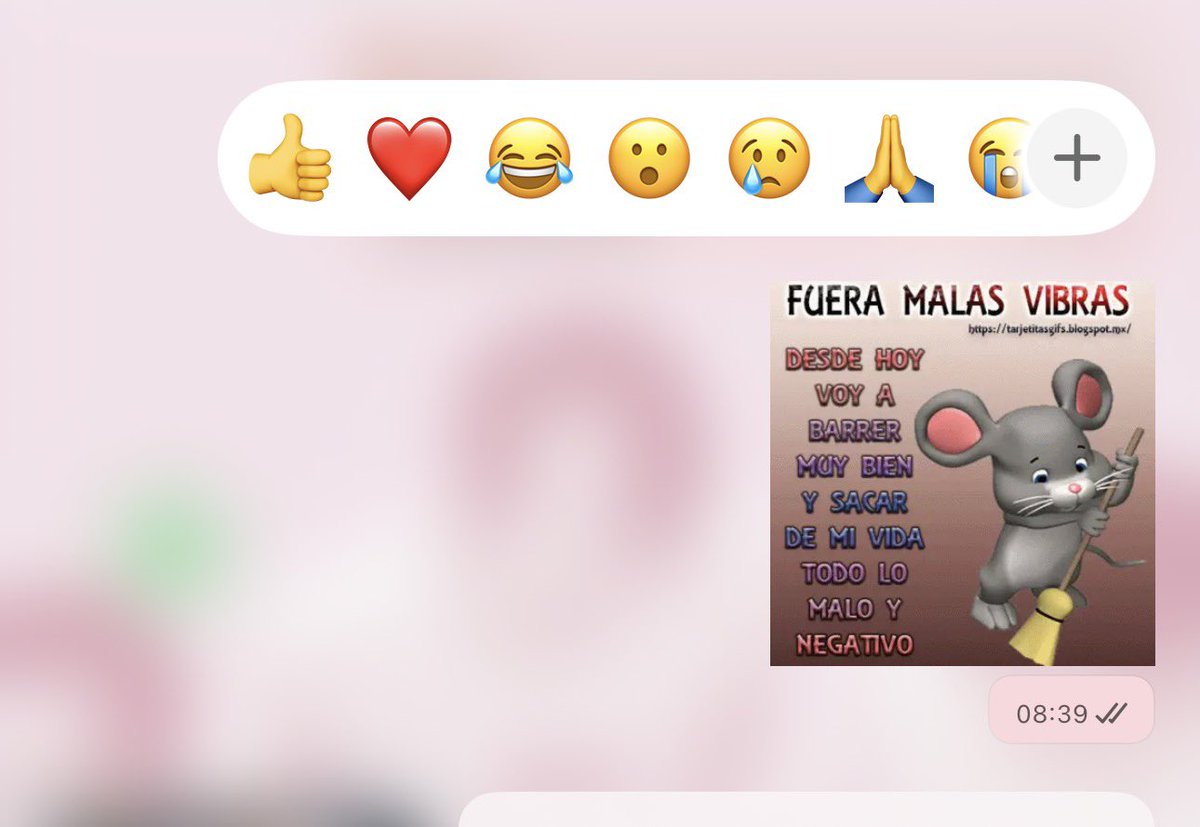 alessa tweet media