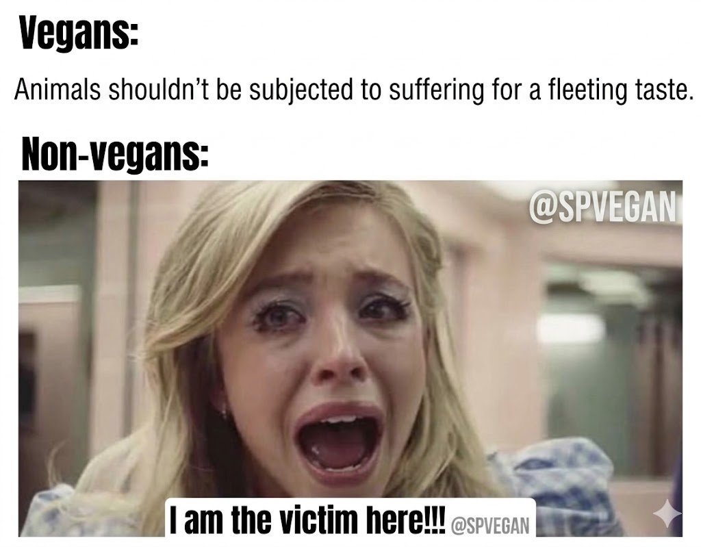 Special Vegan tweet media
