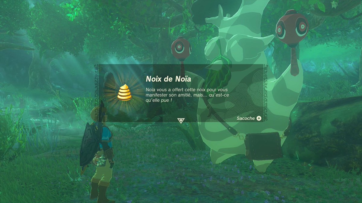 Drexain's tweet photo. Après 275 très belles heures de jeu, The Legend of Zelda : Tears of the Kingdom est terminé à 100% Merci au mode 60 fps et à Zelda Notes pour m'avoir redonné l'envie d'atteindre cet accomplissement https://t.co/8ITevNcGLH