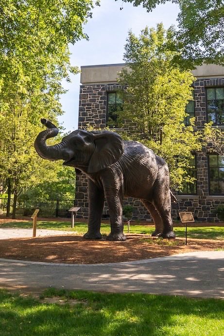 DionairLeonardo's tweet photo. Great experience competing at Tufts Elite Clinic on Saturday. Appreciate all the coaches, and the opportunity to tour the campus. @TuftsMBB @Coach_Linton @CoachFitzy44 @Chris_Lydon33 @StevieM978 
Also some clips from the day↘️ https://t.co/I7q45JpnDM