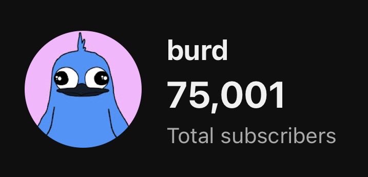 burd tweet media