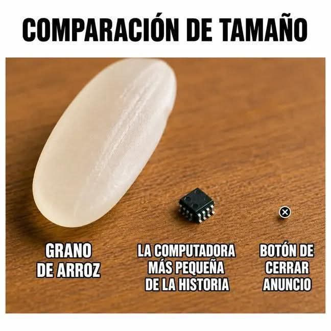 Rincón Curioso tweet media