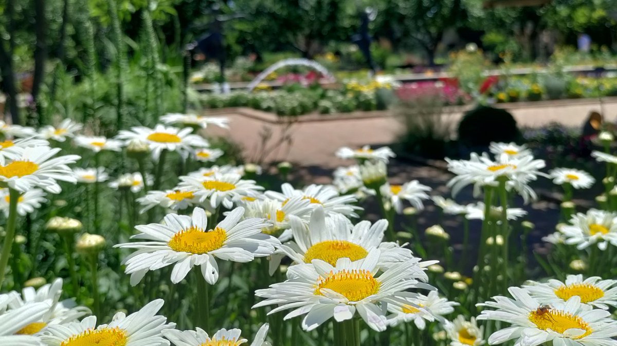 MPEinkc's tweet photo. Summer Activities For Kansas City Homeschoolers: https://t.co/LmwK4N4Q36 https://t.co/erYeGvcZsd