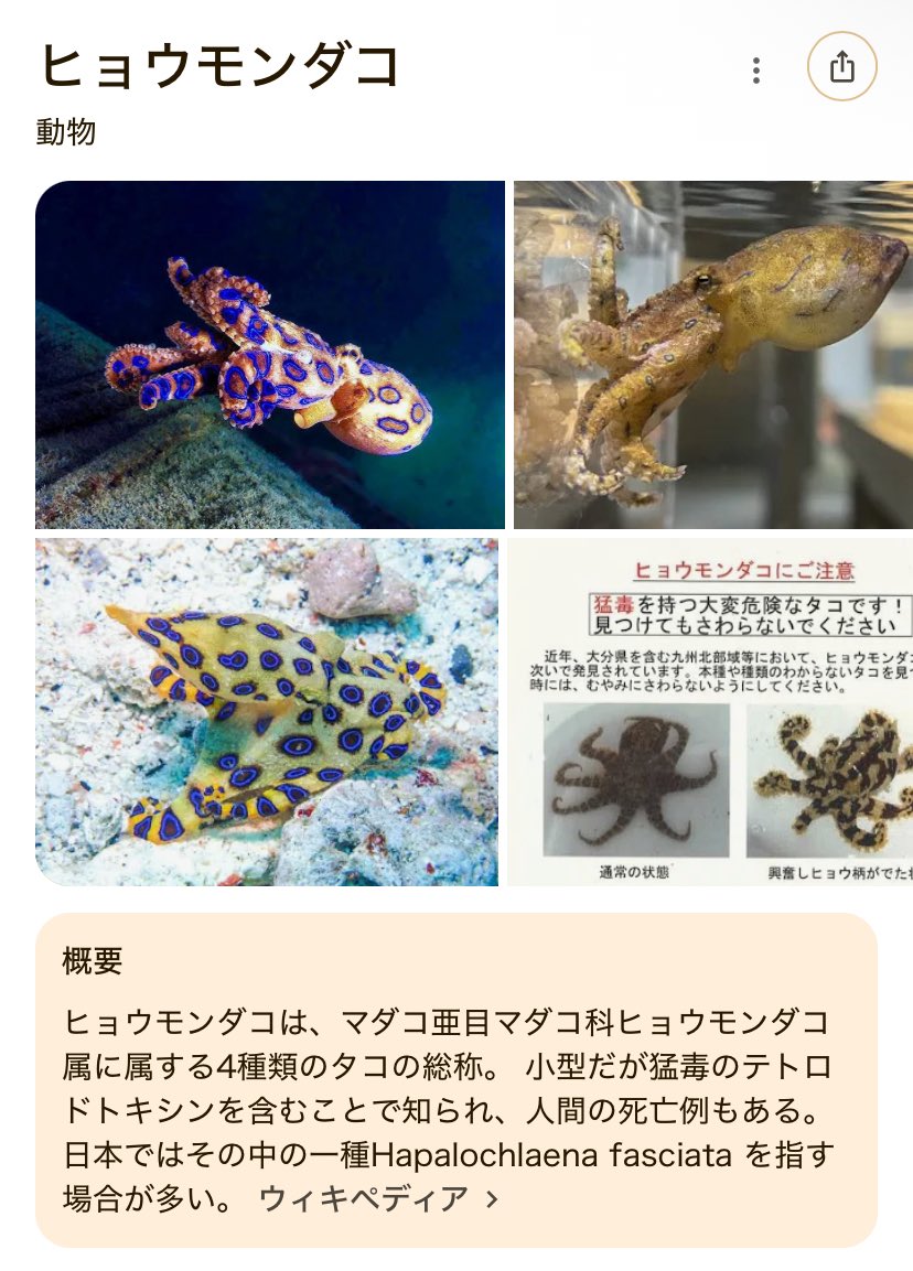 いんなみ tweet media