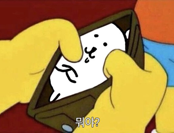 김곰 tweet media