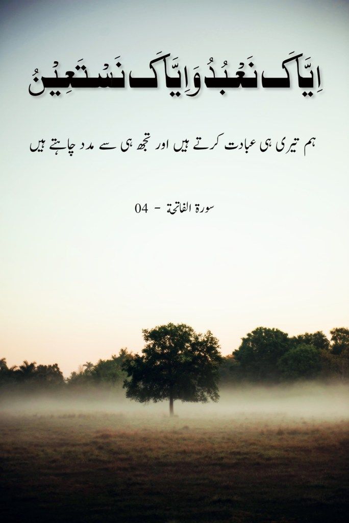 Tasawar Abbas Jutt 🇵🇰 tweet media