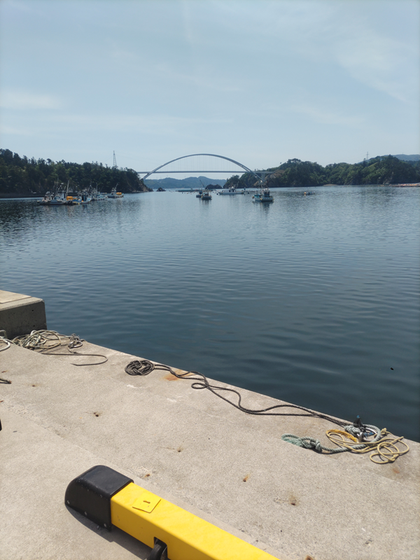 ginzi16750's tweet photo. 今日はプチ旅行で女川が出島に行ってまいりました。
そして、土産を晩飯とつまみ。
映ってないけどビール以外に地酒「雪の松島超辛＋２０」もあり。
やはり、プチでも旅行先の地物はやはり旨いな・・・流石は海の町よな https://t.co/KW4apBPG4j
