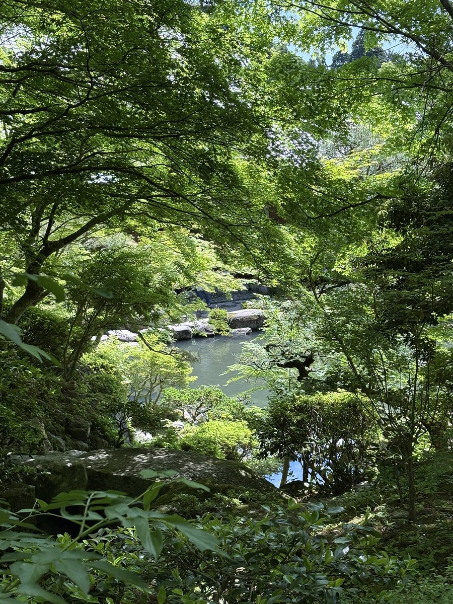 yumizco's tweet photo. 昨日湖東三山に行ってきました。
新緑が美しくて浄化されました。
永源寺にも立ち寄り。
#湖東三山 
#西明寺 
#金剛輪寺 
#百済寺 
#永源寺 https://t.co/0f84SLB9pL