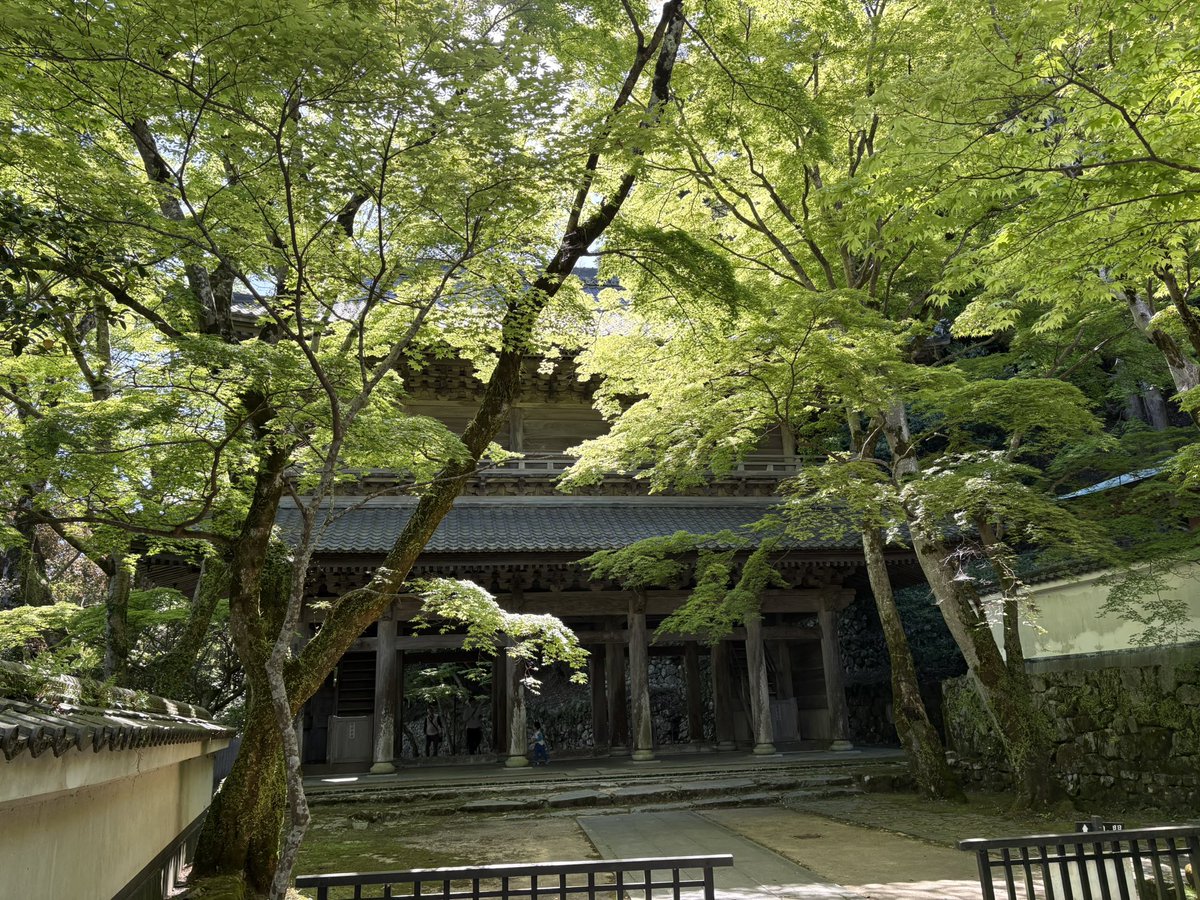 yumizco's tweet photo. 昨日湖東三山に行ってきました。
新緑が美しくて浄化されました。
永源寺にも立ち寄り。
#湖東三山 
#西明寺 
#金剛輪寺 
#百済寺 
#永源寺 https://t.co/0f84SLB9pL