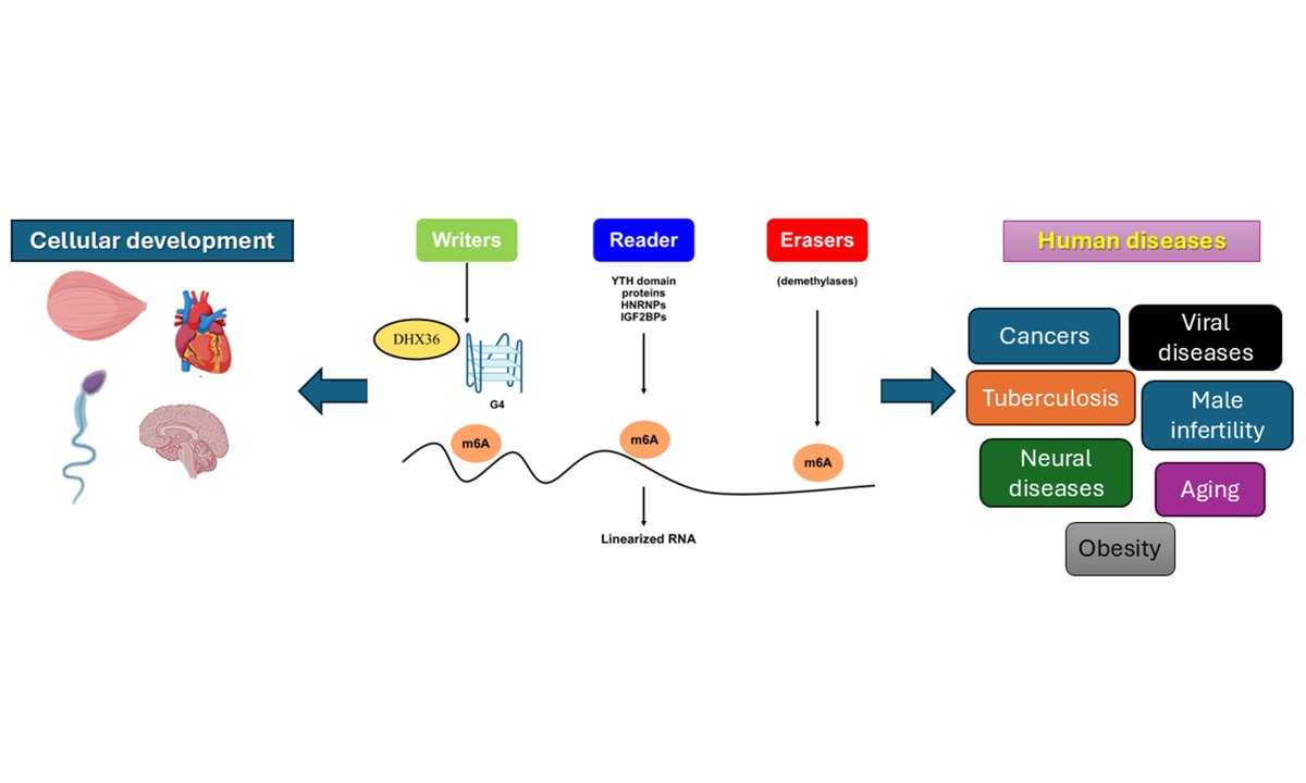 Journal of Translational Genetics and Genomics tweet media