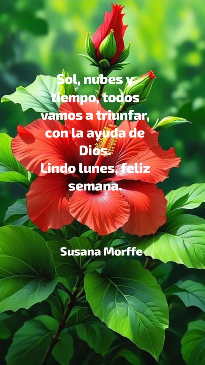 @SusanaMorffe tweet media