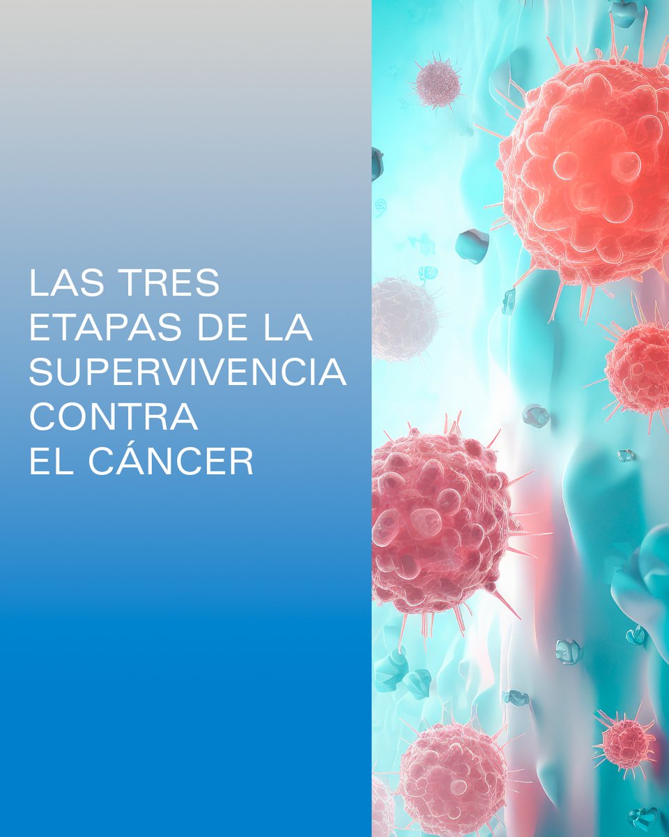 MD Anderson Cancer Center Madrid - Hospiten tweet media