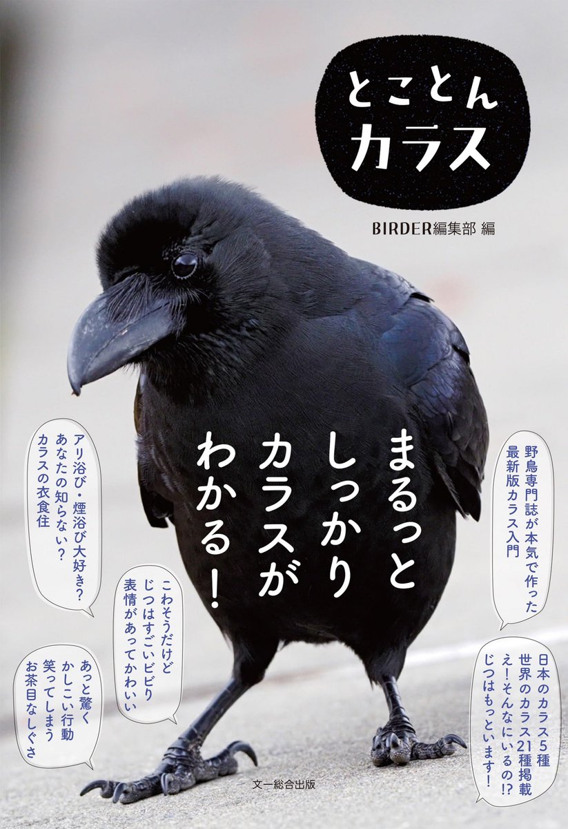 文一総合出版【公式】 tweet media