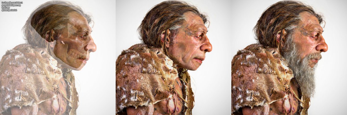 Ancestral Whispers tweet media