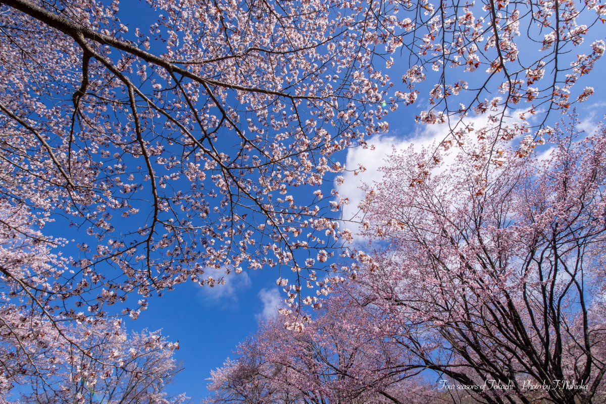 nishi@北海道十勝の風景写真 tweet media