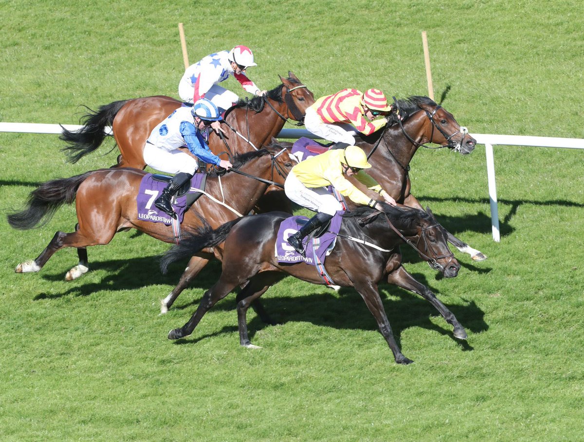Leopardstown RC tweet media