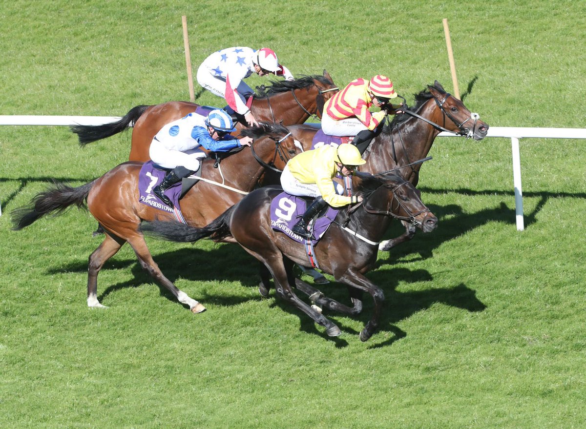 Leopardstown RC tweet media