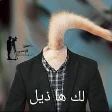 عمر عبد الكريم tweet media