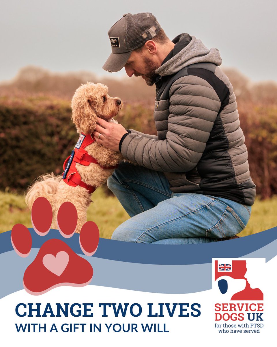 ServiceDogsUK tweet media