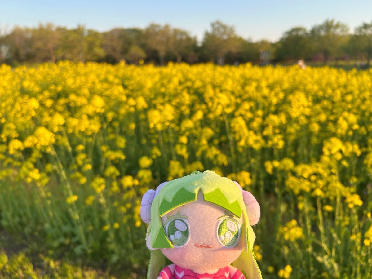 Sugar (@Sugar_2839) / Posts / X