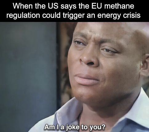 DG MEME 🇪🇺 tweet media