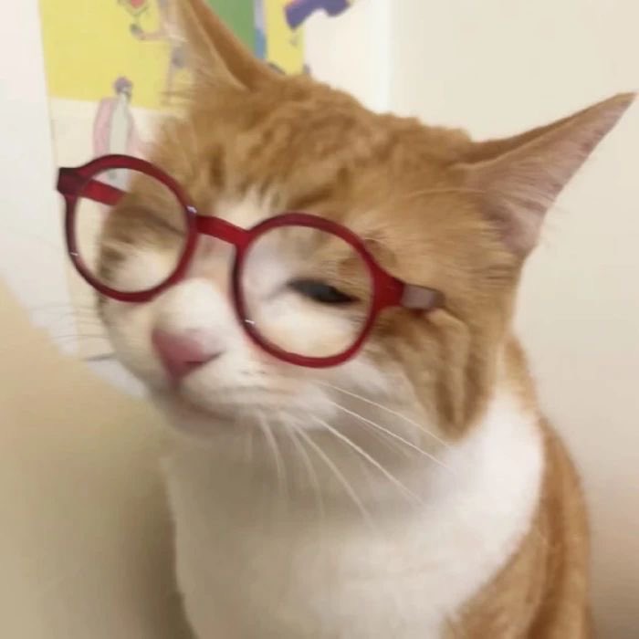 chococat22s's tweet photo. ^›⩊‹^👓💕
#OHYUL #오율 #LNGSHOT  #롱샷 #オユル https://t.co/GFsJNbyZ1G