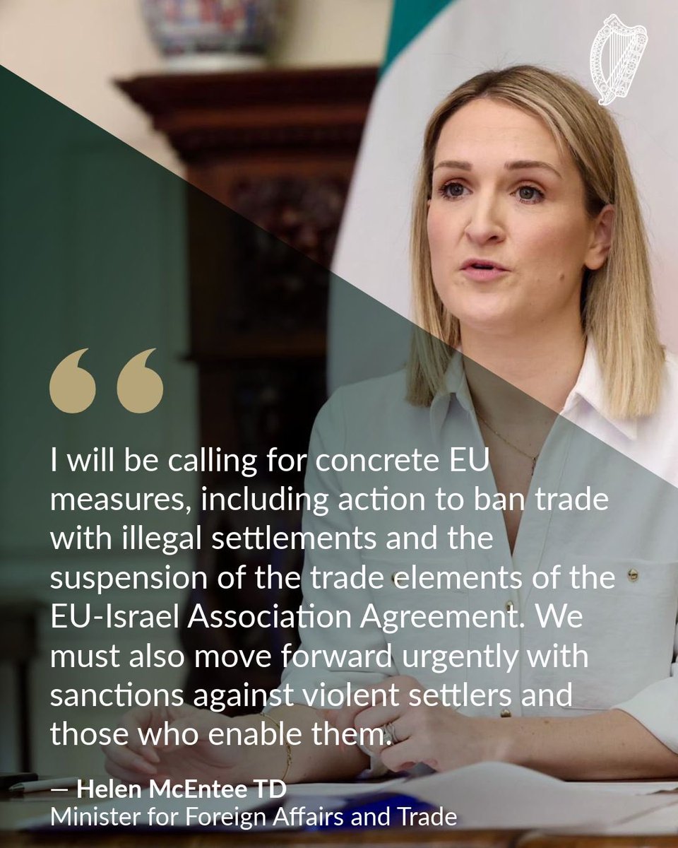 Helen McEntee TD tweet media