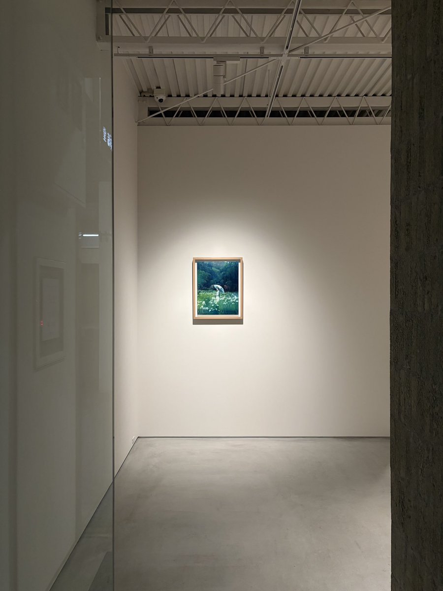 北岡技芳堂 NORTH HILL GALLERY tweet media